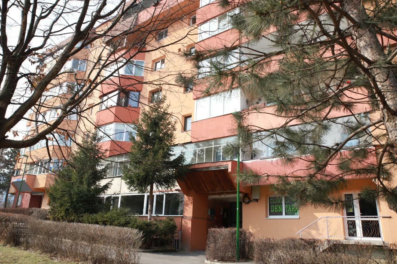 Cozy Apartment In Brasov Exterior photo