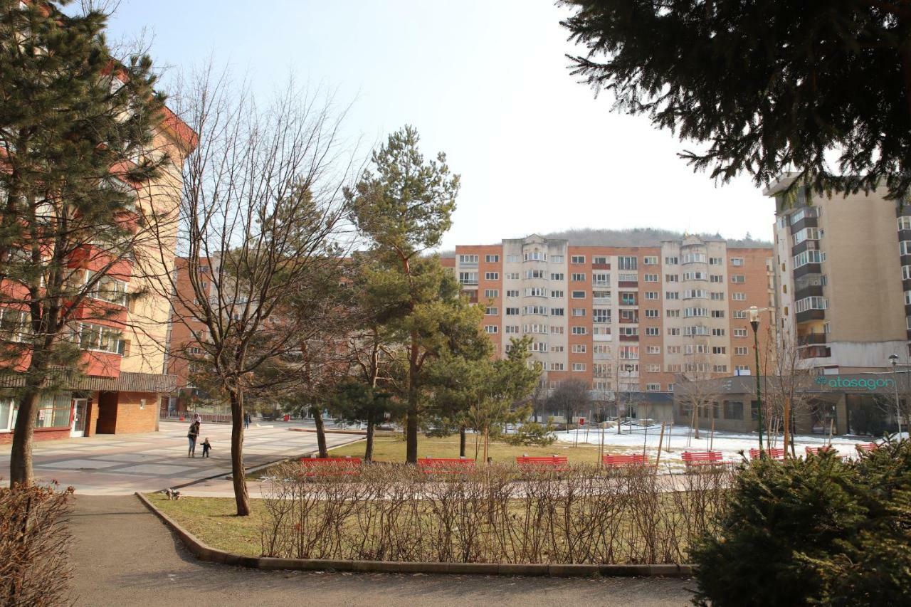 Cozy Apartment In Brasov Exterior photo