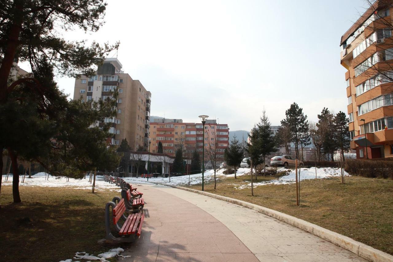 Cozy Apartment In Brasov Exterior photo